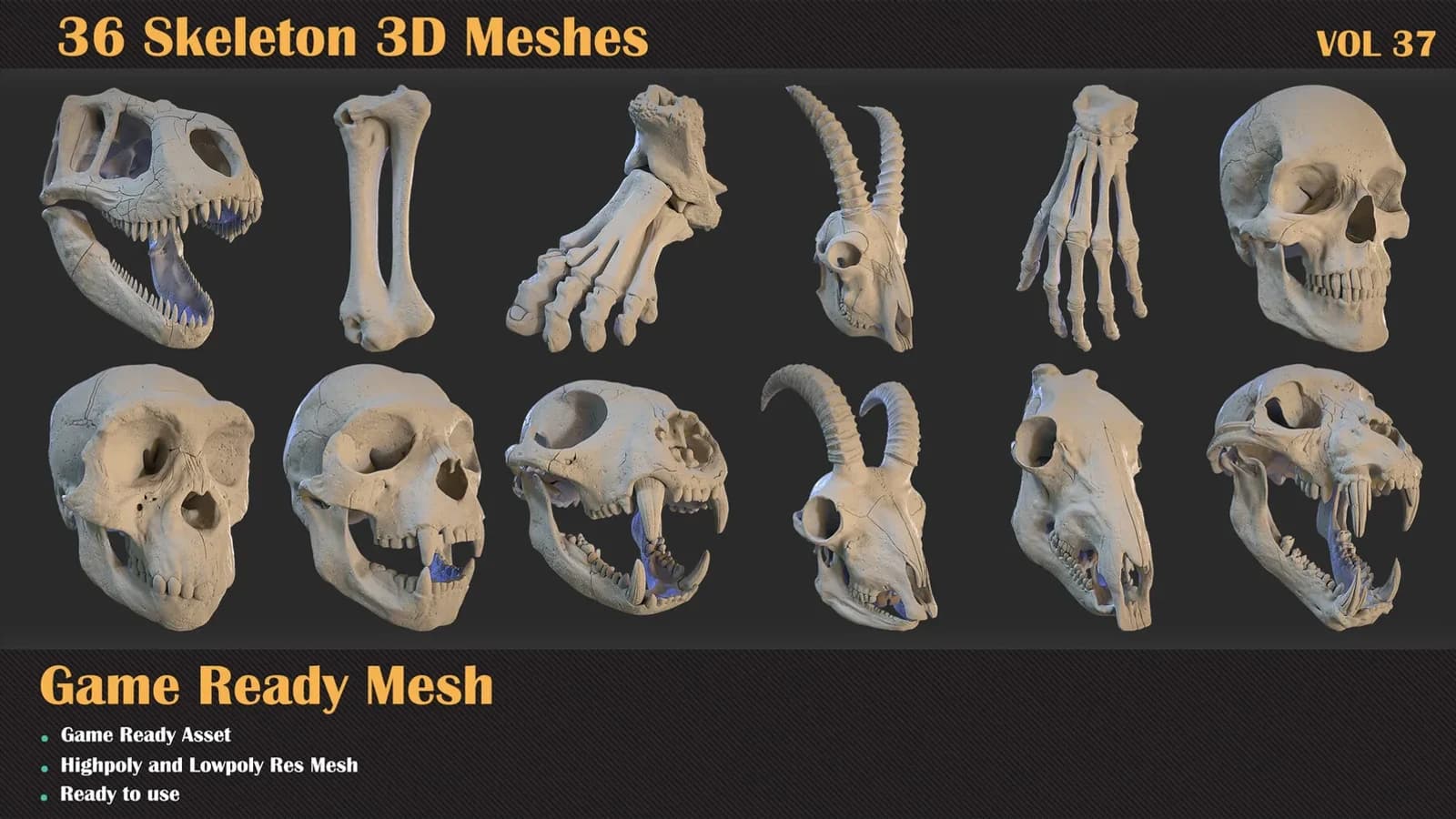36 Skeleton 3D Meshes — VOL 37 — preview 6